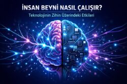 İnsan Beyni Nasıl Çalışır? Teknolojinin Zihin Üzerindeki Etkileri